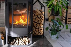 noir métal acier cheminée le fourneau avec Feu et bois de chauffage dans vert Accueil avec intérieur plante dans fleur pot dans village maison. confortable Accueil foyer dans intérieur avec mis en pot les plantes photo