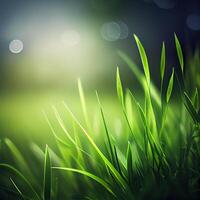 magnifique texture de vert Prairie herbe avec rosée gouttes proche en haut, abstrait brouiller Naturel bokeh Contexte - ai généré image photo