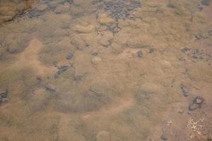 Jaune mousse étang écume sur déchets l'eau endiguement. le photo est adapté à utilisation pour la nature arrière-plan, sauvage la vie affiche et botanique contenu médias.