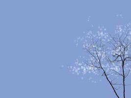 silhouette sec brindilles de arbre avec transparent blanc Ton feuilles soufflant, bleu Couleur Contexte avec Vide copie espace pour texte, fond d'écran photo