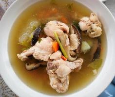 poulet soupe sur bol avec carotte champignon et des légumes fait maison cuit nourriture pour petit déjeuner photo