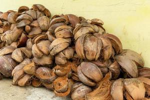 proche en haut de sec noix de coco coquille et fibre. bouquet de brut marron noix de coco coco. photo