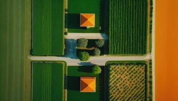 génératif ai, ferme paysage, agricole des champs, magnifique campagne, pays route. la nature illustration, photoréaliste Haut vue drone, horizontal bannière. photo