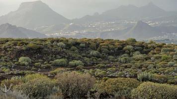 paysage de montagne pittoresque photo