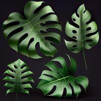 feuilles de tropical à feuilles persistantes monstera plante sur foncé Contexte - ai généré image photo