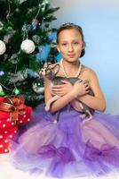 fille dans violet robe en portant national sphynx chauve chat est assis près Noël arbre sur Nouveau années veille photo