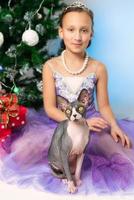 sphynx chat à la recherche à caméra, séance près fille dans violet robe sur Contexte de Noël arbre photo