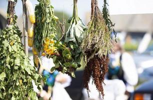 balais fabriqué de séché herbes et baies pendre dans le air. photo