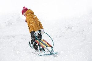 une peu garçon tire une traîneau en haut une neigeux Montagne. enfant sur une hiver journée. photo