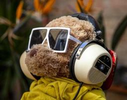 nounours ours avec des lunettes de soleil dans une jardin photo