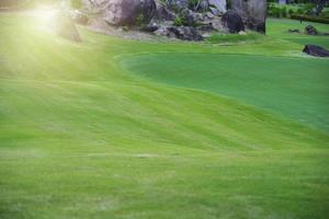 herbe verte de la nature dans le jardin du terrain de golf photo