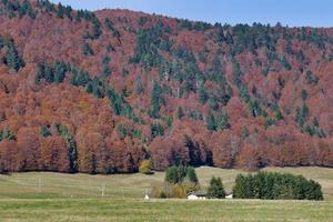 paysage de montagne pittoresque photo