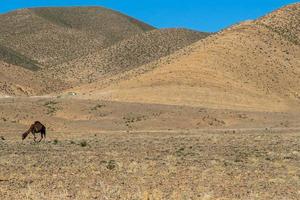 paysage au maroc photo