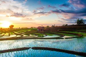 magnifique Matin vue Indonésie. panorama paysage paddy des champs avec beauté Couleur et ciel Naturel lumière photo