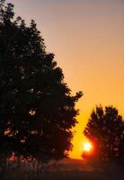 le coucher du soleil. le Soleil brille entre le des arbres dans le d'or lumière. l'automne ambiance. paysage photo