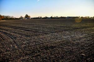 scénique rural paysage photo