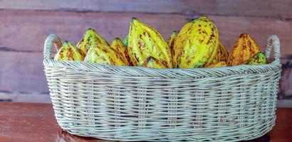 des cabosses de cacao mûres ou des fruits de cacao jaunes récoltent des fèves de cacao à envoyer à la chocolaterie photo