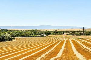 scénique rural paysage photo