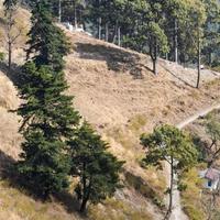 vue aérienne de dessus des véhicules de circulation roulant sur les routes de montagne à nainital, uttarakhand, inde, vue depuis le sommet de la montagne pour le mouvement des véhicules de circulation photo