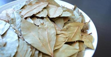 photo de une blanc assiette avec baie feuilles sur une foncé bois arrière-plan, épices et assaisonnements, séché les plantes