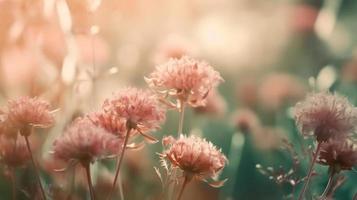 doux rêveur sucré fleur pour l'amour romance Contexte. photo