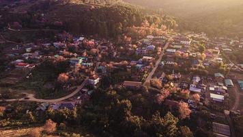 paysage de magnifique sauvage himalayen Cerise épanouissement rose prunus cérasoides fleurs à phu lom lo loei et phitsanulok de Thaïlande photo