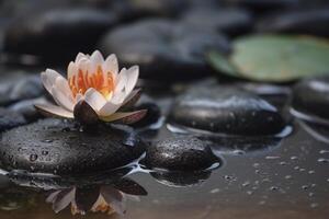 petit Zen jardin fermer, établi avec génératif ai photo