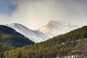 rocheux montagnes avec lumière du soleil brillant dans pin forêt à campagne photo