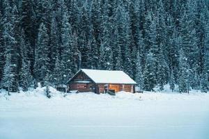 neigeux en bois chalet embrasé dans pin forêt sur Lac Louise dans l'hiver à banff nationale parc photo