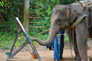 chiang Mai, Thaïlande, oct 2014, l'éléphant est La peinture une image à l'éléphant camp. chiang Mai, Thaïlande sur octobre 15, 2014. photo