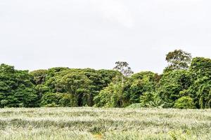 scénique rural paysage photo