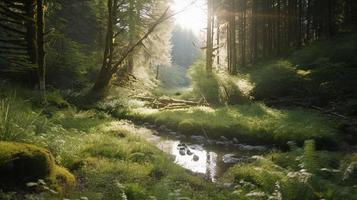 une paisible forêt clairière baigné dans chaud lumière du soleil, entouré par grand des arbres et luxuriant feuillage, avec une doux courant ruisselant par le broussailles et une loin Montagne intervalle visible photo