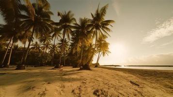tropical paradis ou noix de coco paume plage ou blanc le sable lagune photo