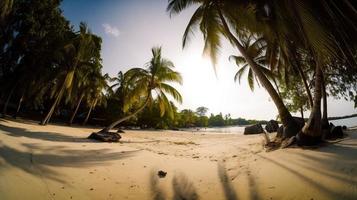 tropical paradis ou noix de coco paume plage ou blanc le sable lagune photo