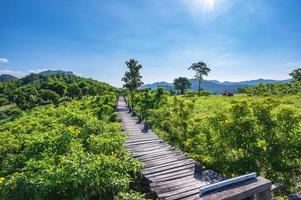 magnifique paysage vue et en bois pont sur phu lamduan à loei thaïlande.phu lamduan est une Nouveau touristique attraction et point de vue de mekong rivière entre Thaïlande et loues. photo