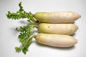 blanc un radis ou daikon isolé dans blanc Contexte photo