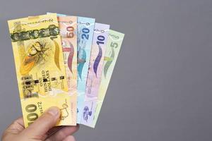 fidjien argent dans le main sur une gris Contexte photo