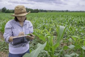 femelle agriculteur travail à blé ferme, collecte Les données sur le croissance de blé les plantes photo