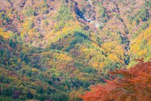 belle montagne en automne photo
