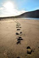 vue sur la plage photo