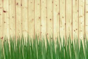 vert herbe et en bois mur photo