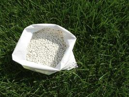 engrais pour herbe, pelouse, Prairie dans une sac de blanc granules sur une Contexte de vert herbe. proche en haut de minéral engrais granules utilisé sur herbe pelouses et jardins à maintenir santé et croissance. photo