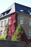 monastère mur coin avec l'automne coloré les plantes photo