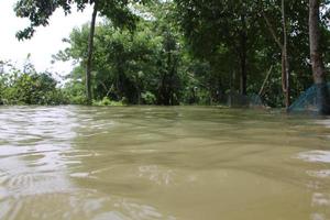 le rural zones de bangladesh regardé très magnifique pendant le inondations photo