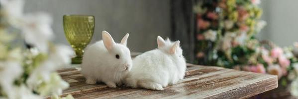 une groupe de mignonne Pâques lapin lapins sur le table dans le vivant chambre. magnifique mignonne animaux domestiques. photo