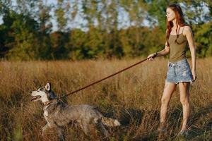femme et sa rauque chien Heureusement en marchant et fonctionnement dans le herbe dans le champ sourire avec les dents l'automne le coucher du soleil marcher avec une animal de compagnie, en voyageant avec une ami chien bonheur photo
