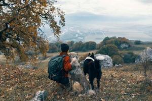 femme voyages dans le montagnes avec une chien marcher relation amicale l'automne photo