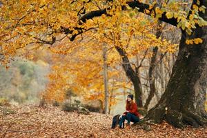 femme modèle dans chandail et jeans et bottes est assis sur le sol près une arbre dans le parc déchue feuilles forêt photo