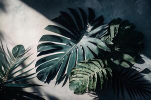 doux ombres de tropical paume feuilles. illustration ai génératif photo