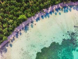 vue aérienne de la belle plage et de la mer avec cocotier photo